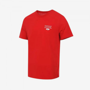 Мужская Футболка Nike