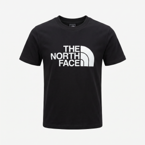 Футболка The North Face
