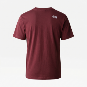 Футболка The North Face