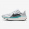 Мужские кроссовки Nike Air Zoom Pegasus 41