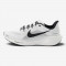 Мужские кроссовки Nike Air Zoom Pegasus 41