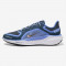 Мужские кроссовки Nike Air Zoom Pegasus 41 GTX
